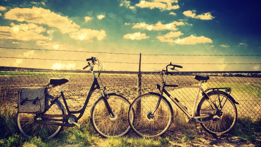 жизнь - оригинал