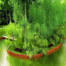 Схема вышивки «Летом в лесу»