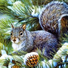 Схема вышивки «Серая белка»