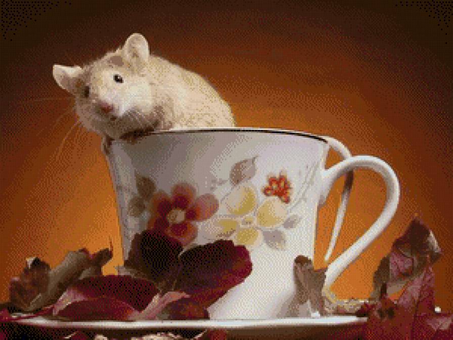 Домашняя мышка - животное, бокал - предпросмотр