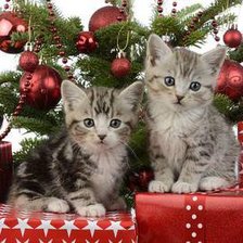 Схема вышивки «Котята с подарками»