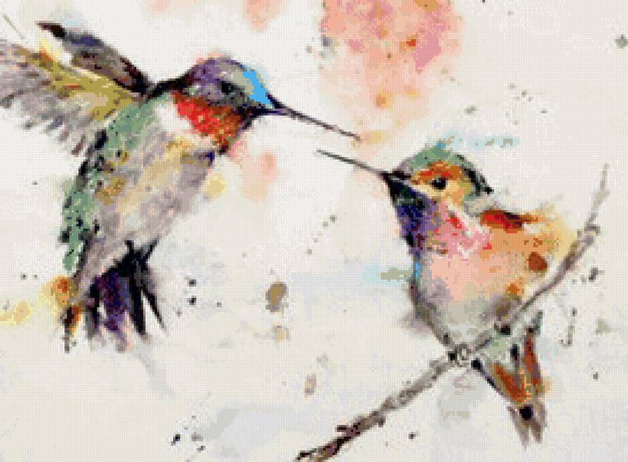 колибри - колибри, птицы, акварель - предпросмотр