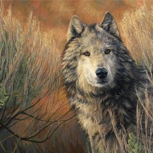 Схема вышивки «№1101408»