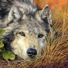 Схема вышивки «№1101409»