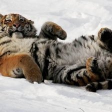 Схема вышивки «№1101416»