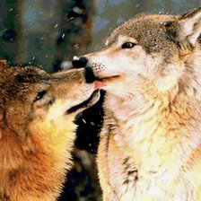 Схема вышивки «жизнь»