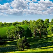 Схема вышивки «3434»