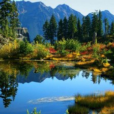 Схема вышивки «озира»