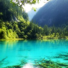 Схема вышивки «озера в лесу»