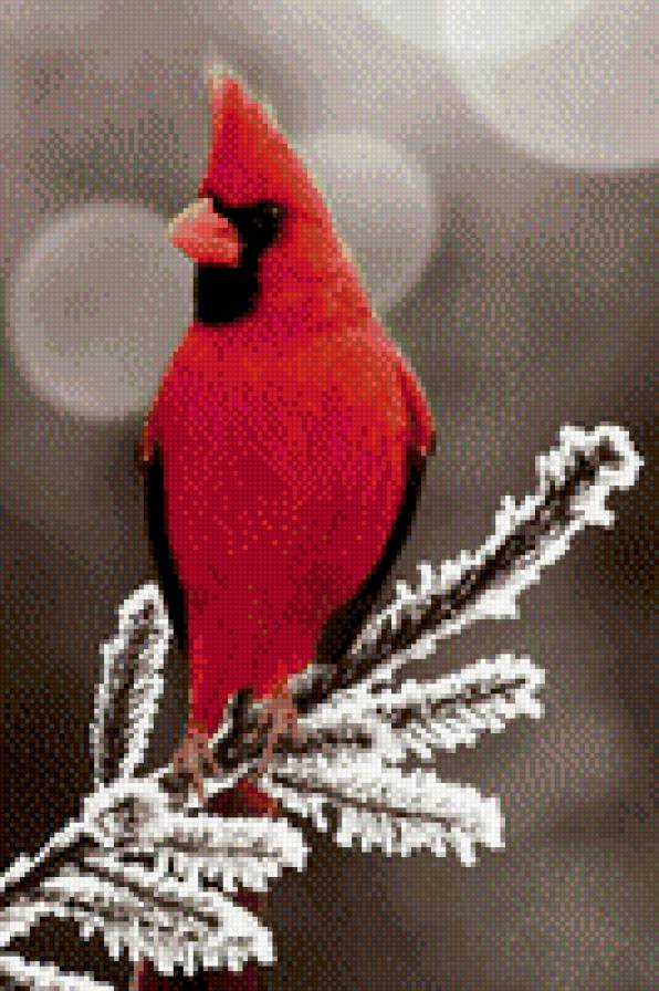 0009 - предпросмотр