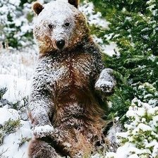 Схема вышивки «0011»