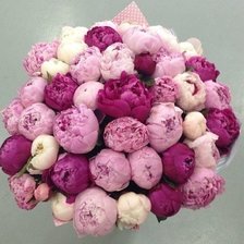 Схема вышивки «0012»