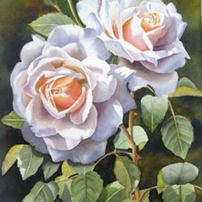 Схема вышивки «розы»