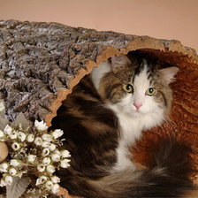 Схема вышивки «кошкин дом»