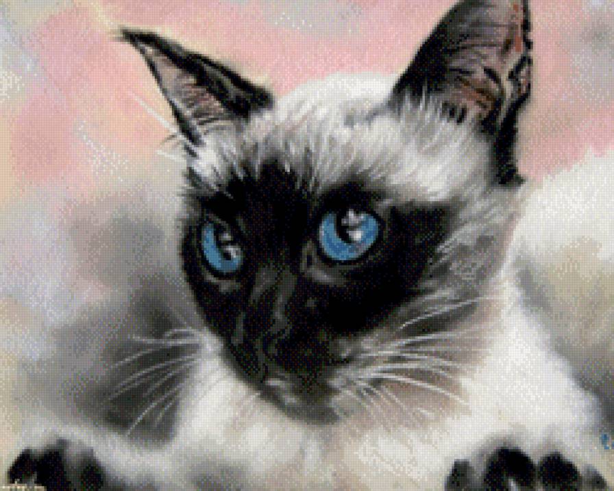 Кот готовится к прыжку - коты, кот, животные - предпросмотр