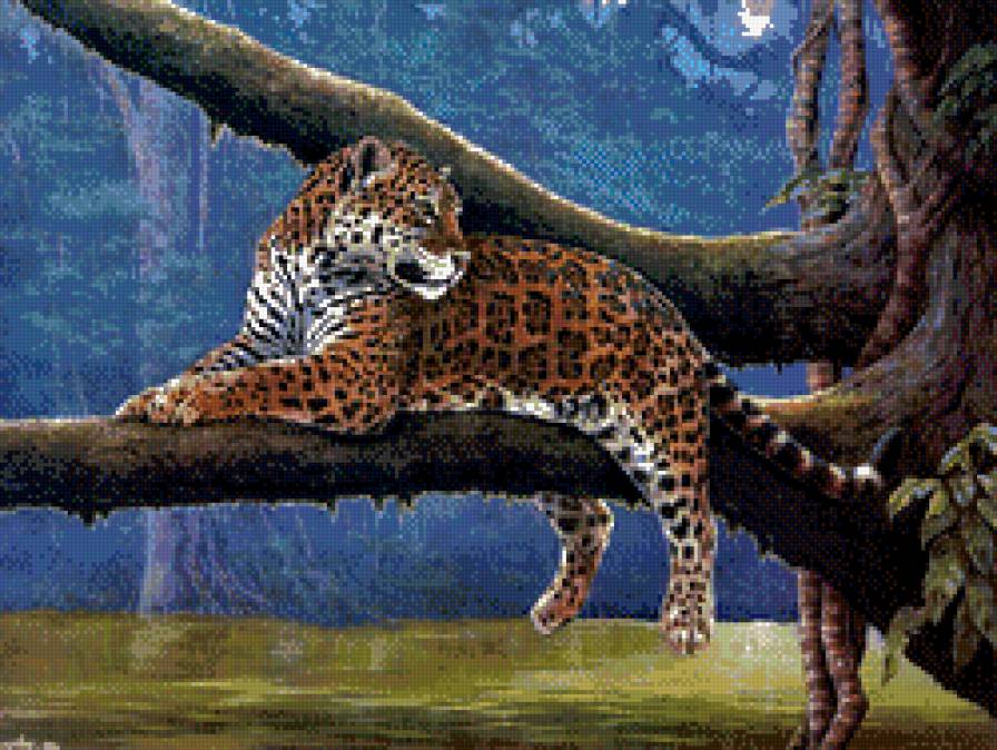 Ягуар - животные, природа - предпросмотр