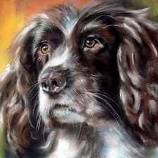 Схема вышивки «№1101714»