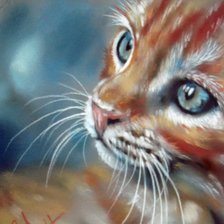 Схема вышивки «Рыжий кот»