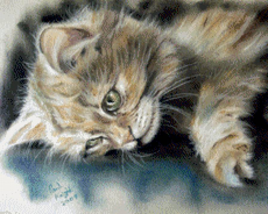 Котенок отдыхает - кот, коты, животные - предпросмотр