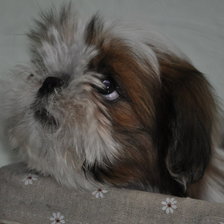 Схема вышивки «Ника»