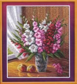 Гладиолусы