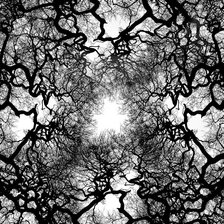 Схема вышивки «Ветки»