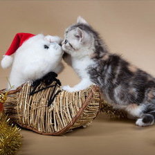 Схема вышивки «шаловливый котенок»