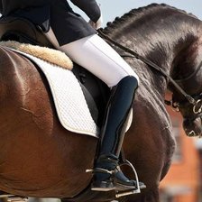 Схема вышивки «выездка3»