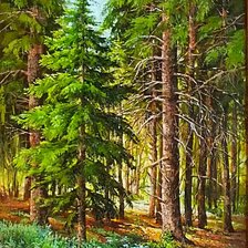 Схема вышивки «в лесу»