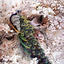 Схема вышивки «павлины»