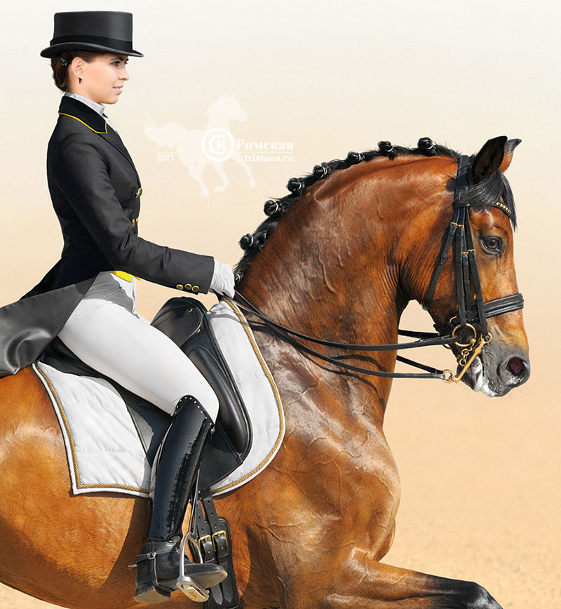 выездка4 - конный спорт, лошади - оригинал