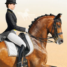 Схема вышивки «выездка4»