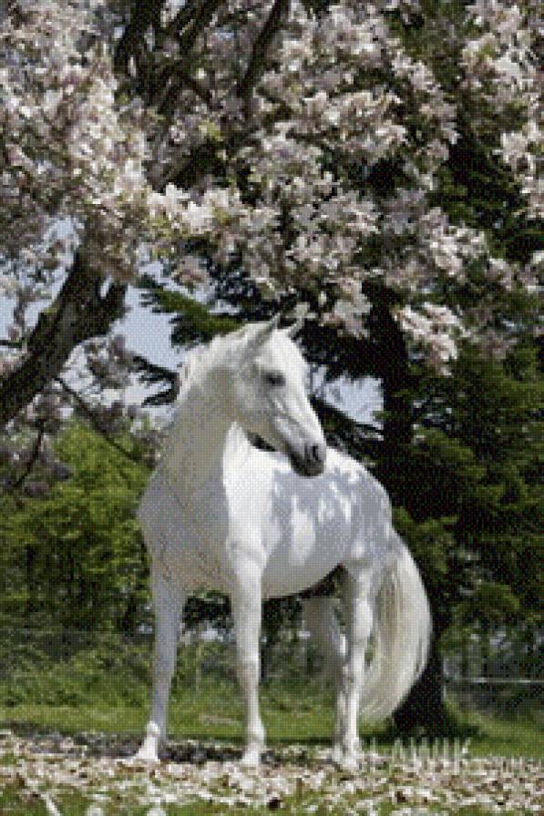 Лошадь - лошадь, жеребец, весна, цветы - предпросмотр