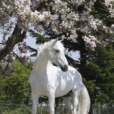 Схема вышивки «Лошадь»