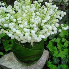 Схема вышивки «№1102730»