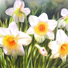 Схема вышивки «цветы»