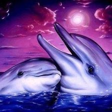 Схема вышивки «Delfines amigos»
