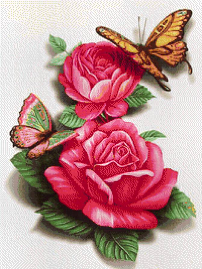 розы с бабочкой - предпросмотр