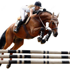 Схема вышивки «конкур»