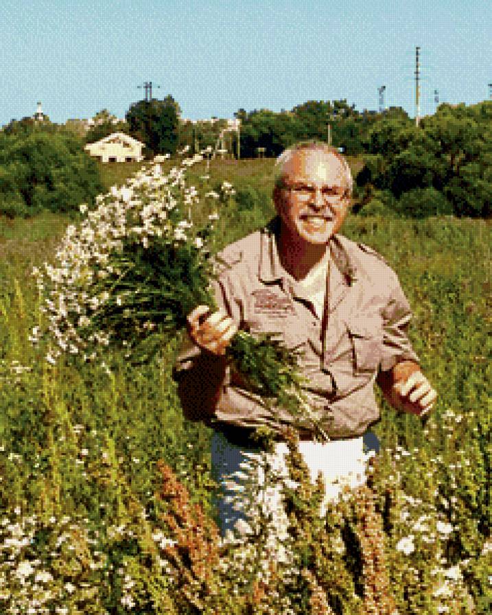 папа - предпросмотр