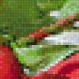 Предпросмотр схемы вышивки «три розы 40» (№1103151)
