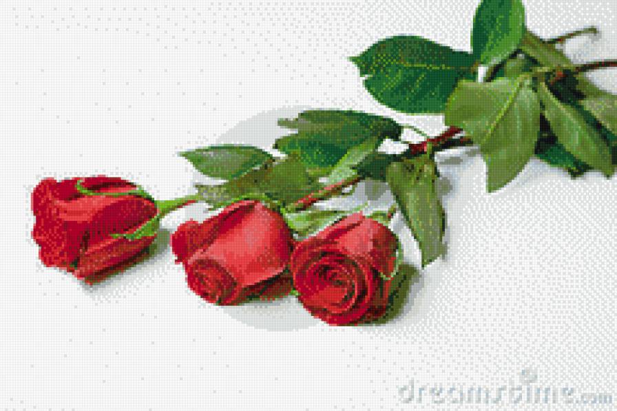 три розы 40 - предпросмотр