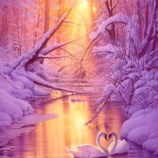 Лебединая верность