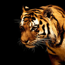 Схема вышивки «№1103331»