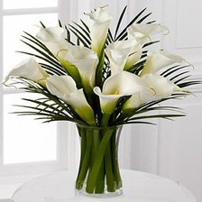 Схема вышивки «белые каллы»