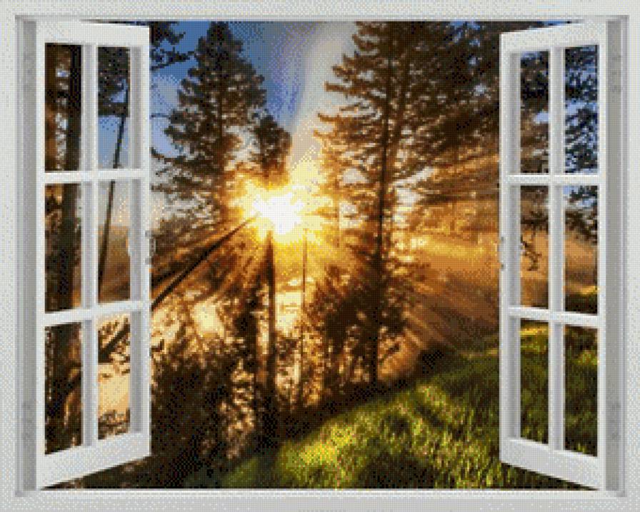 вид из окна - озеро, лес, окно, закат, деревья - предпросмотр