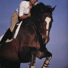 Схема вышивки «конкур2»