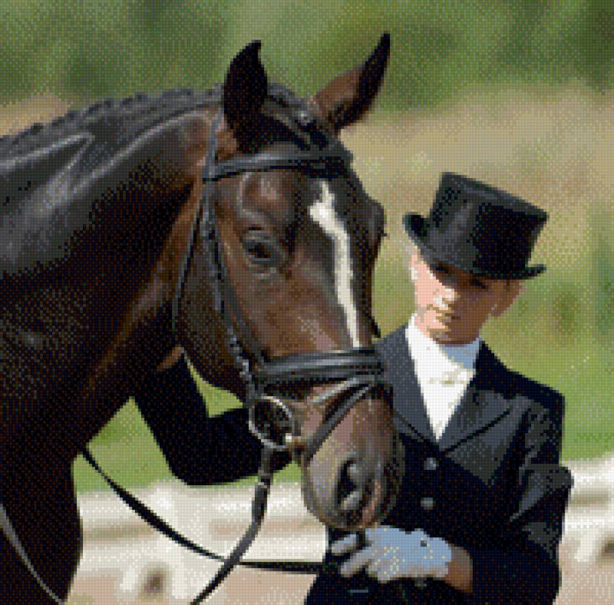 Девушка и лошадь - лошадь, животные, девушка - предпросмотр