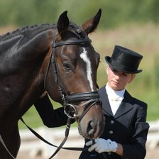 Девушка и лошадь