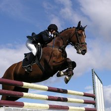 Схема вышивки «конкур3»